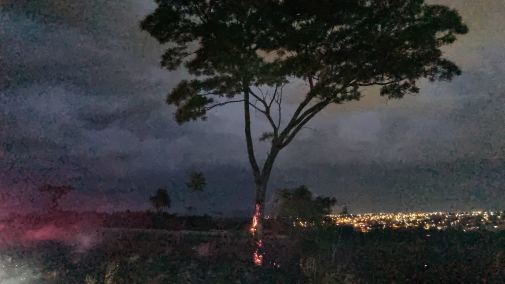 Incêndio em área de vegetação é combatido pelo Corpo de Bombeiros