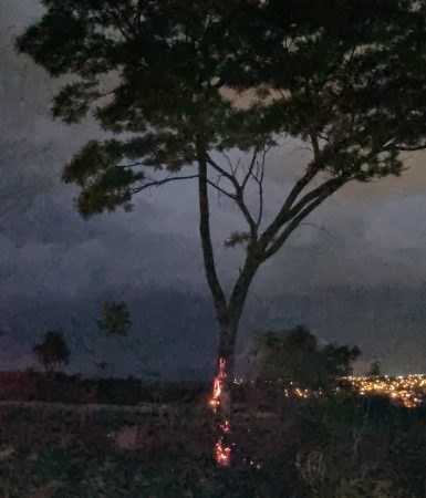 Imagem referente a Incêndio em área de vegetação é combatido pelo Corpo de Bombeiros