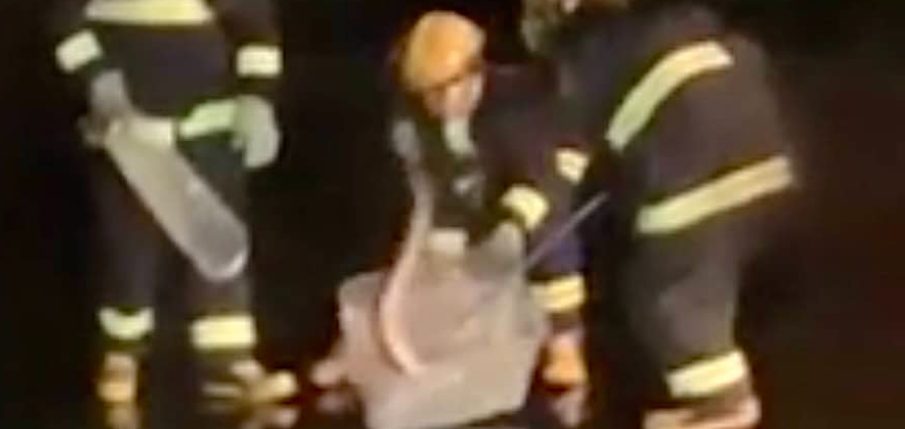 Cobra na pista interrompe decolagem no Aeroporto Marechal Rondon e causa alvoroço