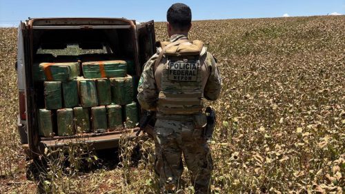 Imagem referente a PF apreende mais de 900 Kg de maconha em Santa Helena