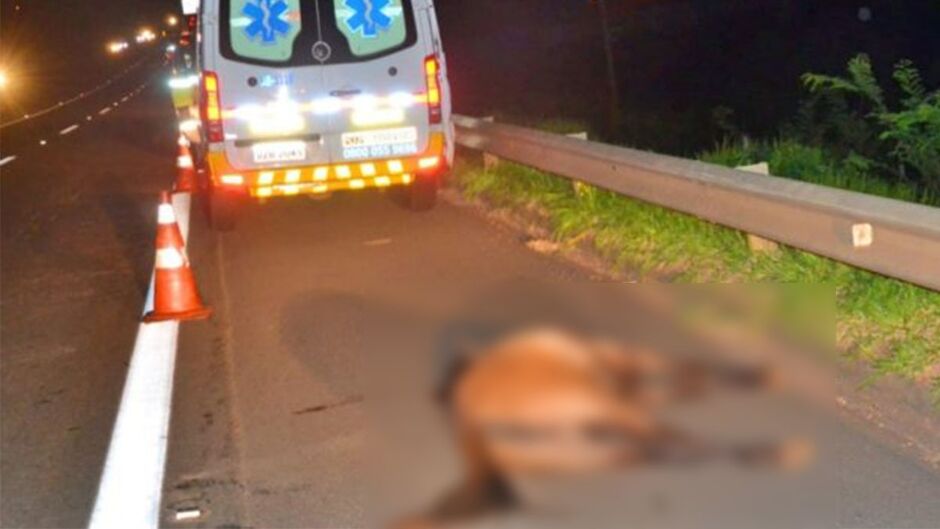 Motoqueiro de 20 anos morre após colidir com cavalo na fronteira