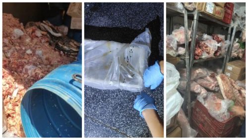 Imagem referente a Comerciante é preso em flagrante por vender carne infestada de larvas 