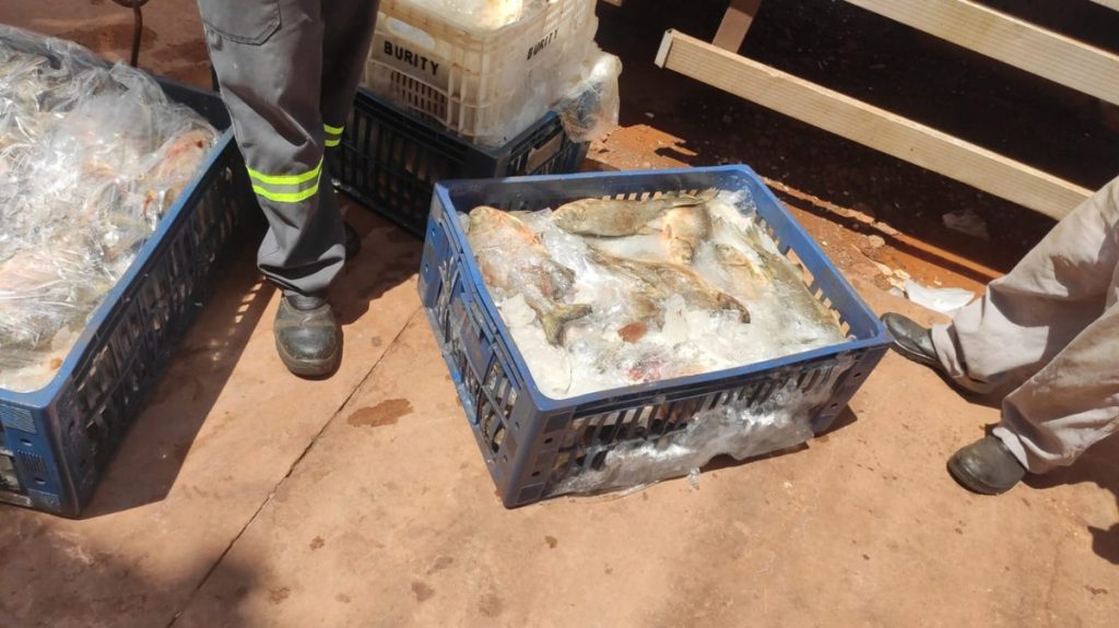 Dono de mercado é preso por venda de produtos impróprios