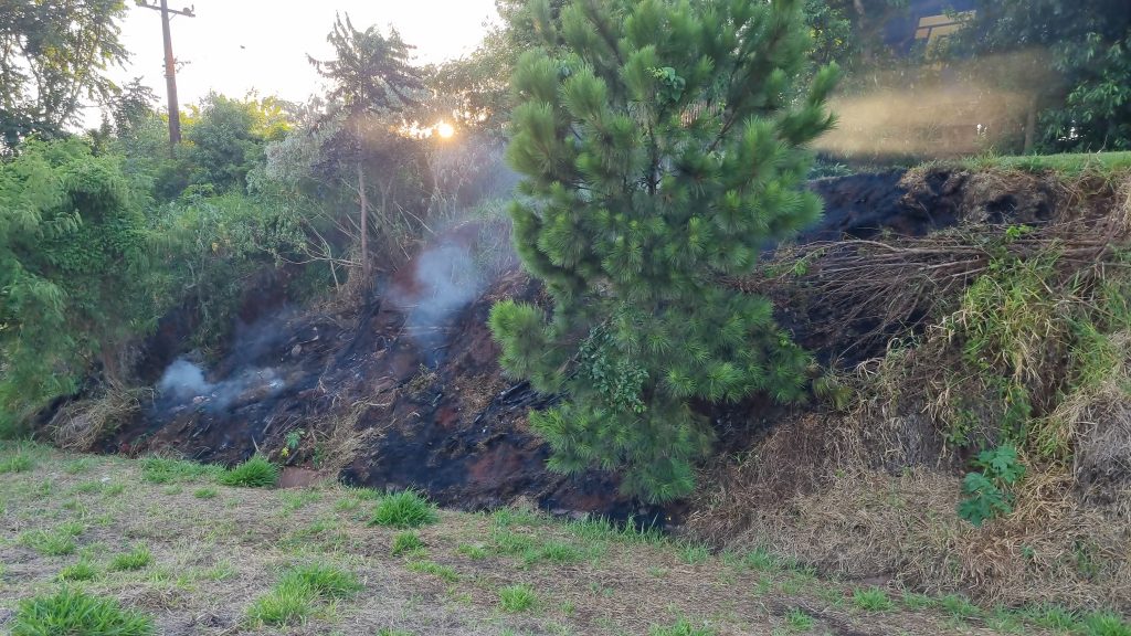 Bombeiros combatem incêndio ambiental na marginal da rodovia BR-277 em Cascavel Bombeiros combatem incêndio ambiental na marginal da rodovia BR-277 em Cascavel