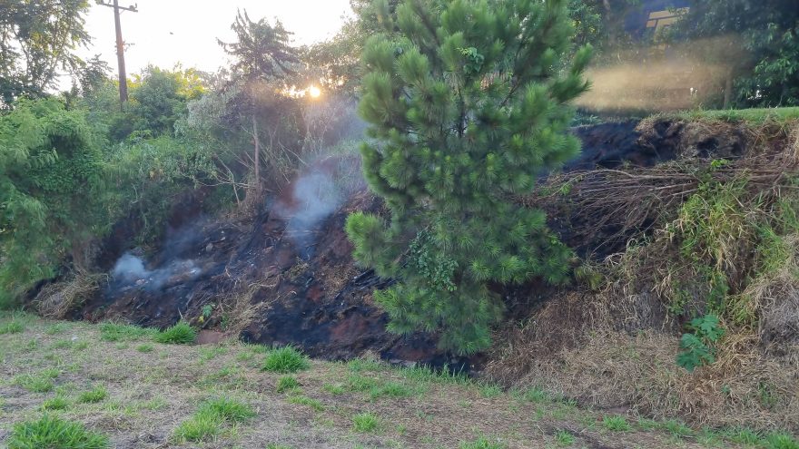 Bombeiros combatem incêndio ambiental na marginal da rodovia BR-277 em Cascavel