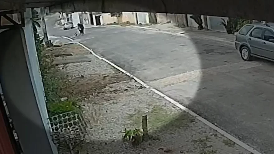 Polícia responsabiliza tutores por ataque de pitbulls que deixou idosos feridos 