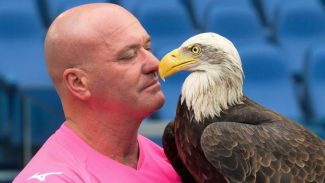 Falcoeiro da Lazio demitido por postar foto de implante peniano se trancou no clube