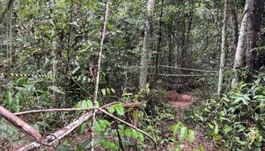 Imagem referente a Cemitério clandestino do Comando Vermelho é encontrado com 12 corpos