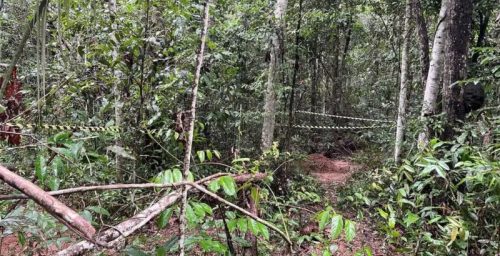 Imagem referente a Cemitério clandestino do Comando Vermelho é encontrado com 12 corpos