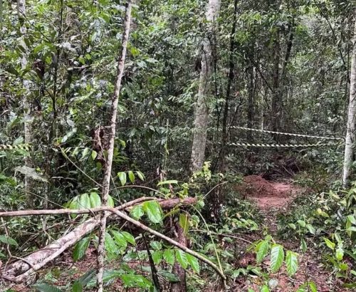 Imagem referente a Cemitério clandestino do Comando Vermelho é encontrado com 12 corpos