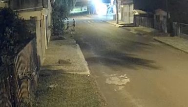 Imagem referente a Câmera de segurança flagra homem agredindo cachorro no Cascavel Velho