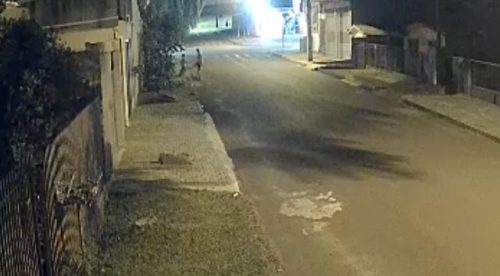 Imagem referente a Câmera de segurança flagra homem agredindo cachorro no Cascavel Velho