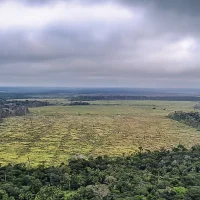 Imagem referente a Mato Grosso aprova leis ambientais contrárias à legislação federal