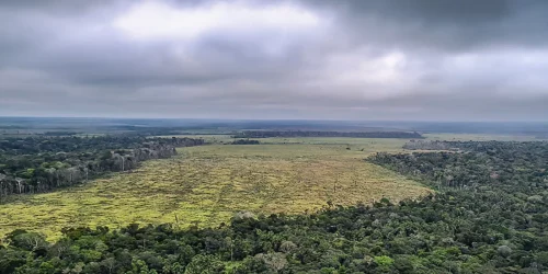 Imagem referente a Mato Grosso aprova leis ambientais contrárias à legislação federal