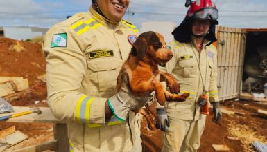 Imagem referente a Bombeiros de Cascavel salvam mais um cachorrinho que caiu em buraco de obra