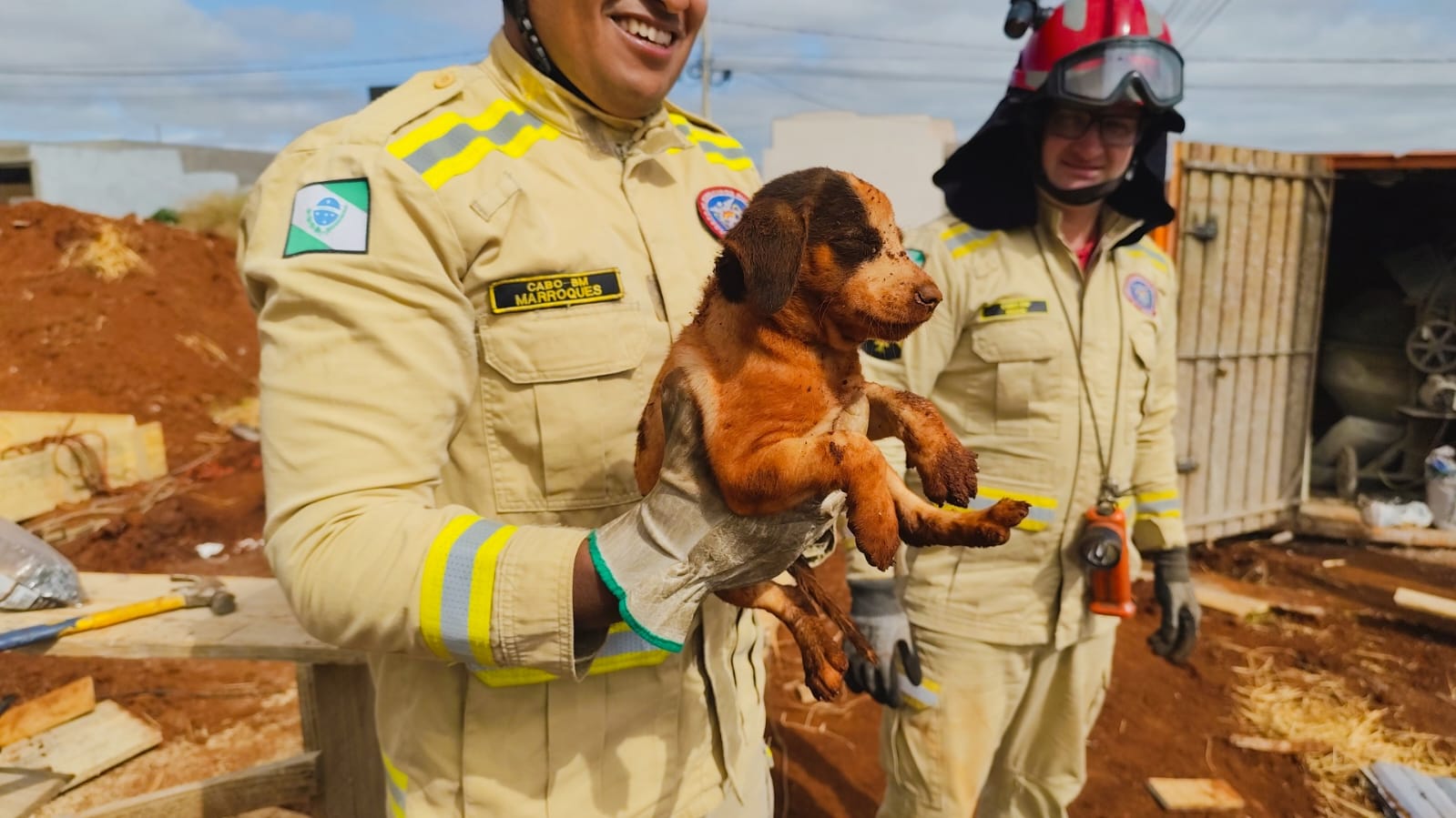 Bombeiros de Cascavel salvam mais um cachorrinho que caiu em buraco de obra