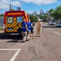 Imagem referente a Adolescente fratura os punhos após colidir bicicleta contra o muro