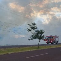 Imagem referente a Incêndio nas proximidades do Aeroporto mobiliza Corpo de Bombeiros