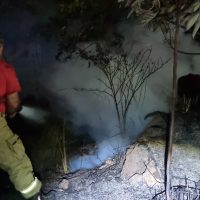 Imagem referente a Incêndio reacende próximo ao Aeroporto e Bombeiros são mobilizados