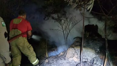 Imagem referente a Incêndio reacende próximo ao Aeroporto e Bombeiros são mobilizados