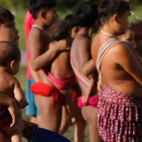 Imagem referente a Caminhos da Reportagem volta à TI Yanomami dois anos após crise