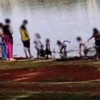 Imagem referente a Flagrante de desrespeito: crianças são flagradas dentro do Lago Municipal de Cascavel