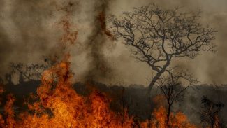 Crise climática é amplificadora de outras crises, alerta pesquisadora