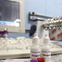 Imagem referente a Saúde encaminha 2 milhões de testes rápidos de dengue para São Paulo