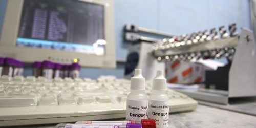 Imagem referente a Saúde encaminha 2 milhões de testes rápidos de dengue para São Paulo