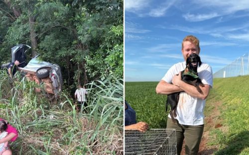 Imagem referente a Cachorrinha que ficou perdida após tutor morrer em grave acidente é encontrada por familiares