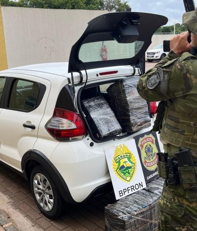 Imagem referente a Homem é detido com 88 quilos de maconha em Santa Tereza