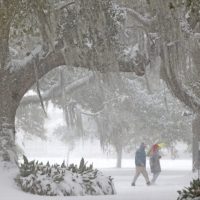 Imagem referente a Frio letal: nevasca rara causa mortes e caos nos EUA