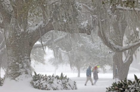 Imagem referente a Frio letal: nevasca rara causa mortes e caos nos EUA