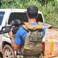 Imagem referente a Operação Policial em Foz do Iguaçu apreende uma tonelada de maconha vinda do Paraguai