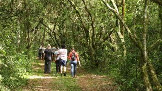 Estado promove encontro com municípios sobre a Rota Turística Caminhos do Peabiru