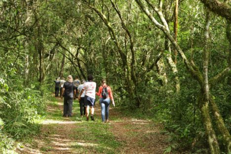 Imagem referente a Estado promove encontro com municípios sobre a Rota Turística Caminhos do Peabiru