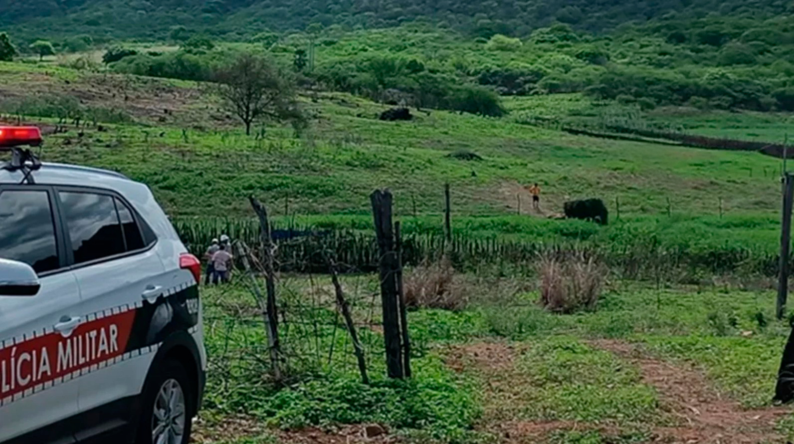 Homem morre ao tentar salvar jumento de cerca elétrica Homem morre ao tentar salvar jumento de cerca elétrica