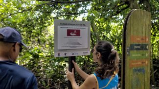 Ilha do Mel: IAT inicia instalação de placas educativas de cuidado com fauna