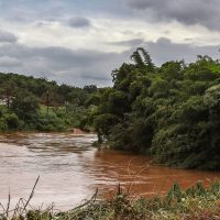 Imagem referente a Estudo detecta presença de metais na urina de crianças em Brumadinho