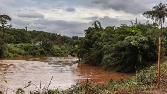 Estudo detecta presença de metais na urina de crianças em Brumadinho