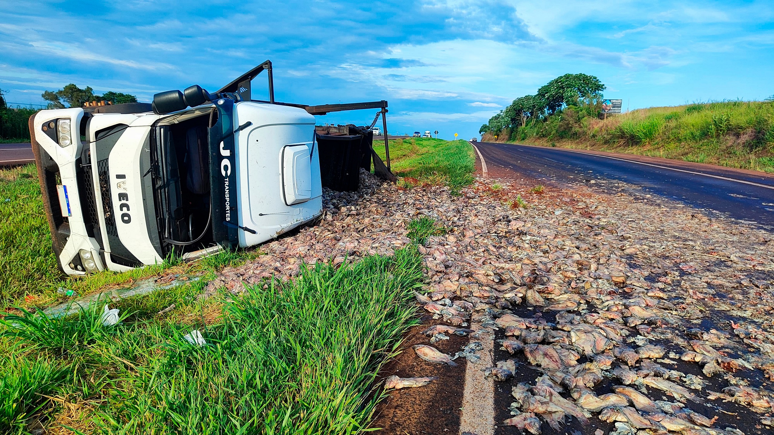 Carreta tomba e carga de Tilápia é espalhada na rodovia em Cascavel