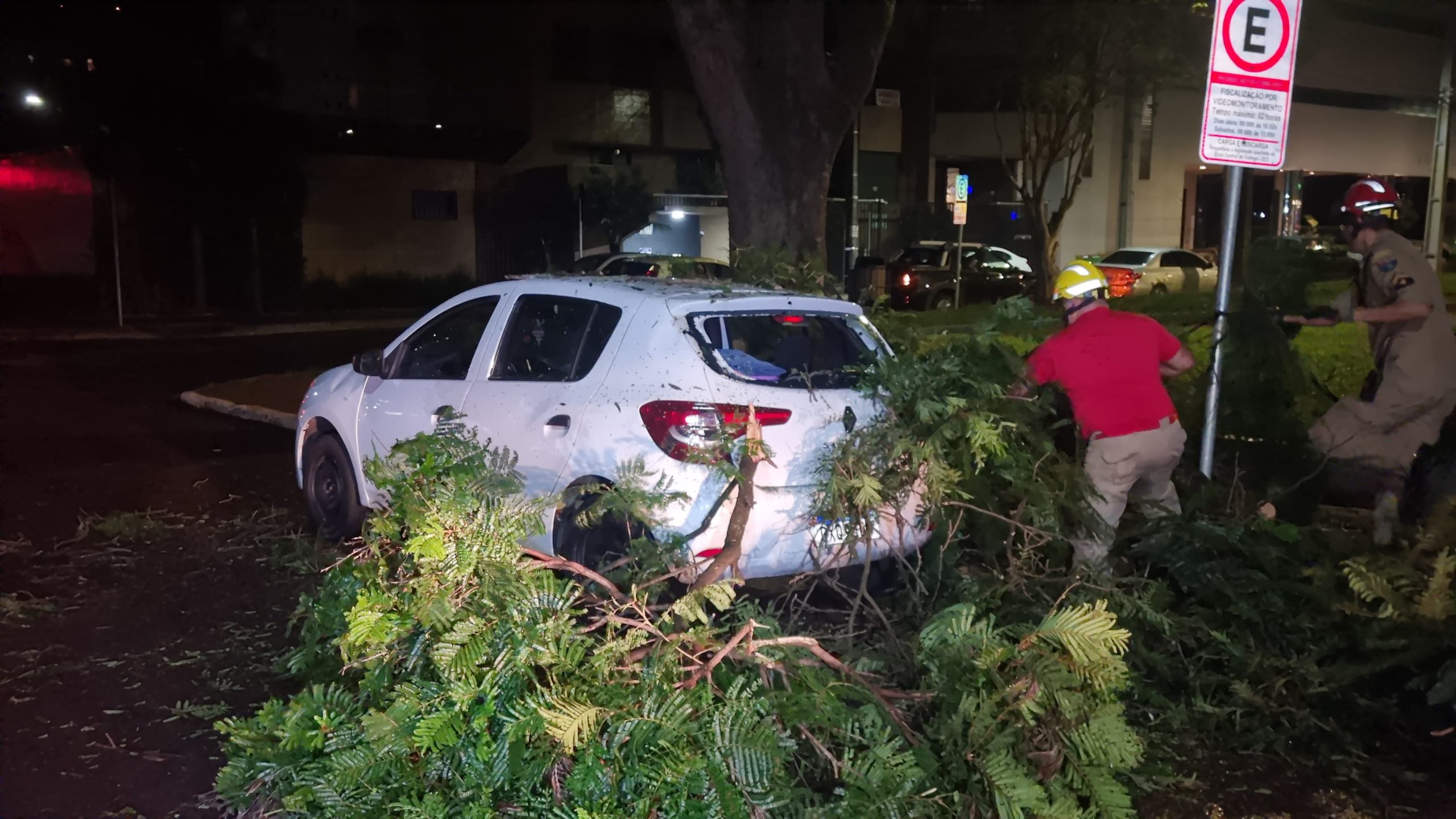 Galho de árvore cai e atinge carro na Rua Pio XII