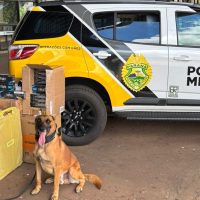 Imagem referente a Cães farejadores localizam carga de cigarros contrabandeados em Cascavel