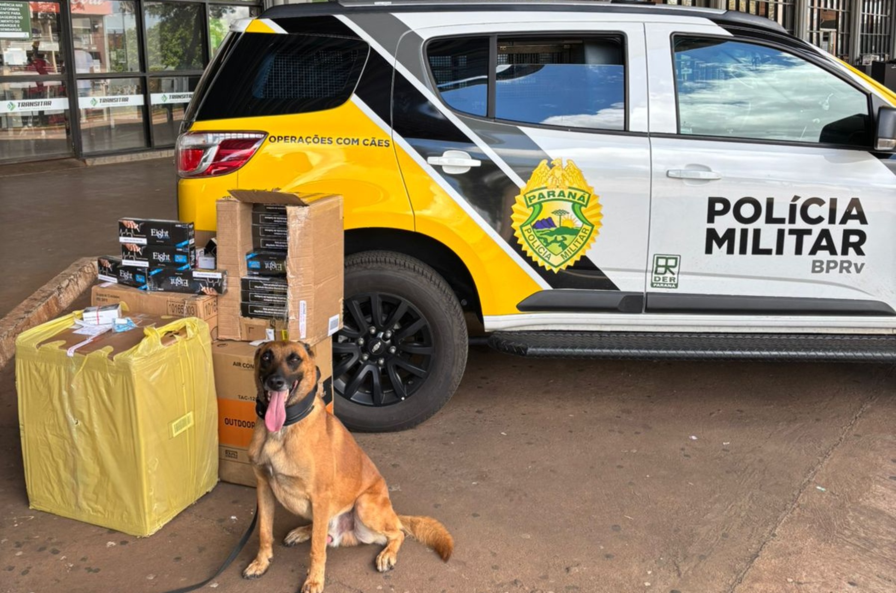 Cães farejadores localizam carga de cigarros contrabandeados em Cascavel