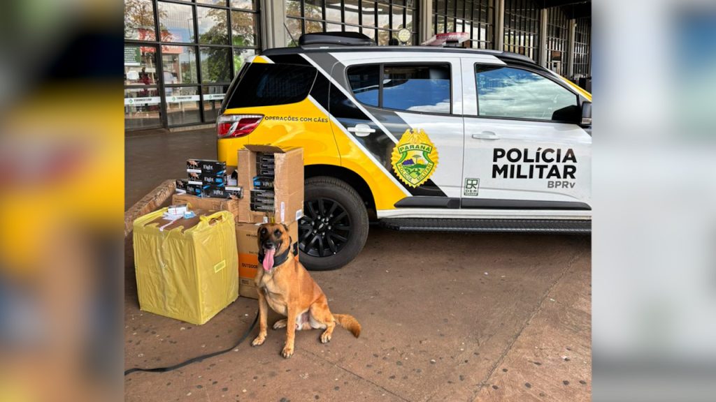 Ação da equipe K9 em Cascavel descobre contrabando de cigarros em ônibus