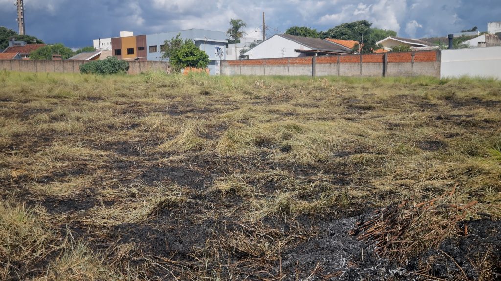 Bairro Canadá: moradores contêm fogo em vegetação