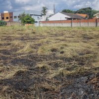 Imagem referente a Bairro Canadá: moradores contêm fogo em vegetação