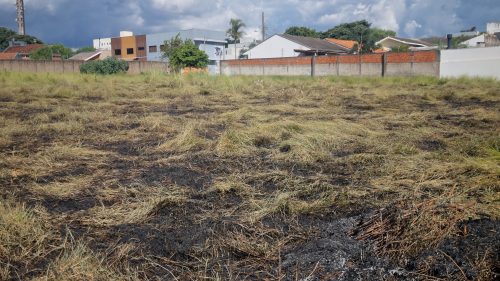 Imagem referente a Bairro Canadá: moradores contêm fogo em vegetação