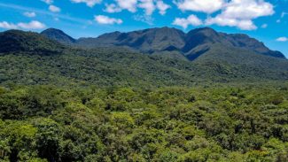 Estado atualiza procedimentos do ICMS Ecológico; 59% das cidades recebem o benefício