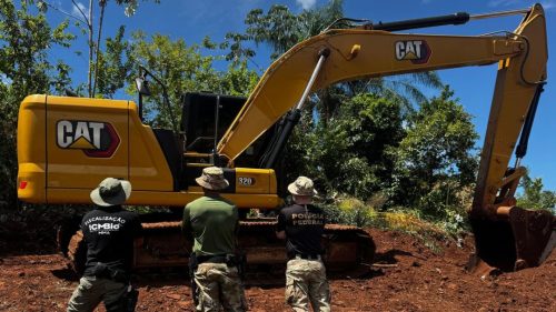 Imagem referente a PF e ICMBIO flagram ação de desmatamento em área de interesse do Parque Nacional do Iguaçu